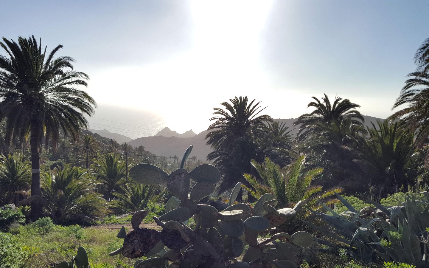 Charming Historic House with Sea & Mountain Views near Valle Gran Rey, La Gomera