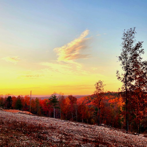 Parker Creek Bend Cabins The Windstorm Cabin, Cabins, Marshall