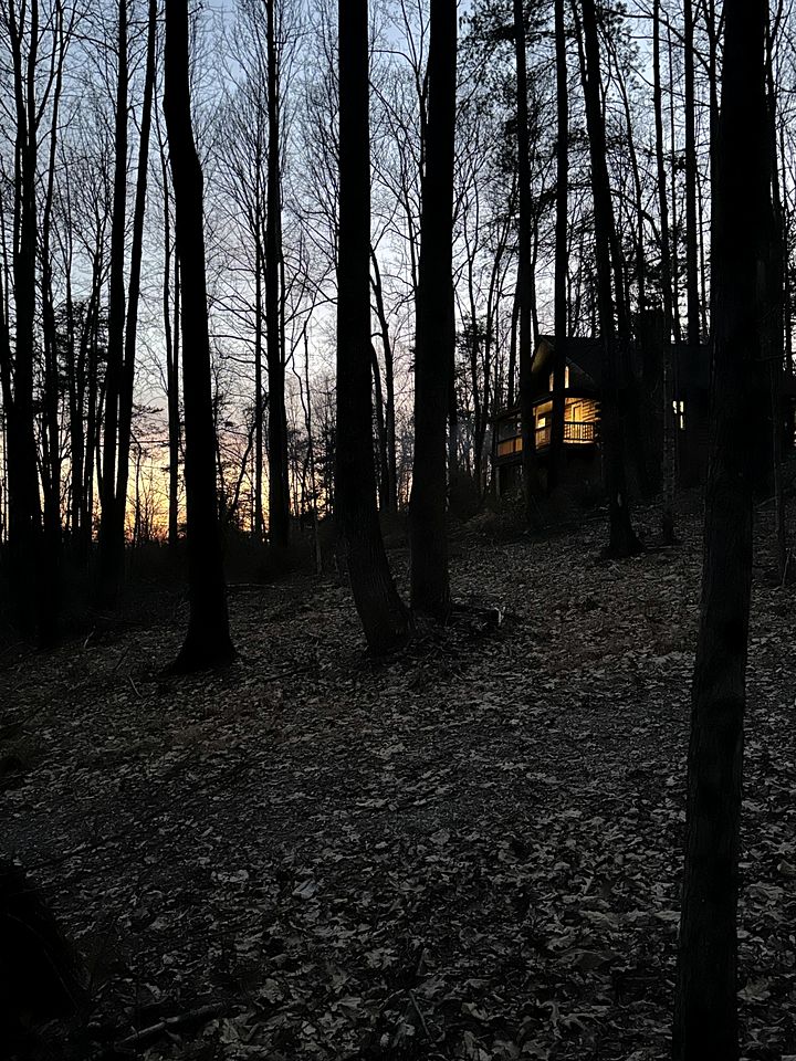 Cozy Forest Cabin Surrounded by Trees near Stone Mountain State Park, North Carolina