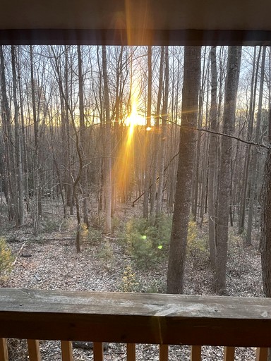 Cabins (United States of America, Wilkes County, North Carolina)