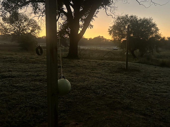 Tree Houses (United States of America, Forestburg, Texas)