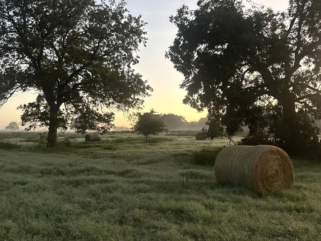 Spectacular Treehouse with Speeder Bike & Creek Views near Forestburg, Texas