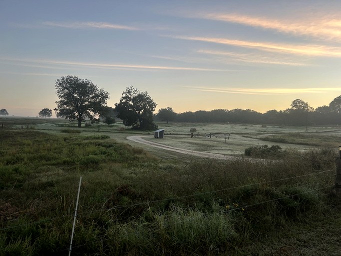 Tree Houses (United States of America, Forestburg, Texas)