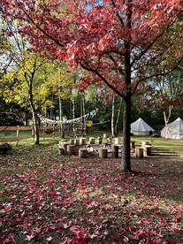 kombi camping ausbau COMO Easy 15