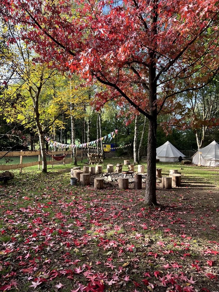 Incredible Nature Camp Ideal for Groups or Big Family Retreats in Germany