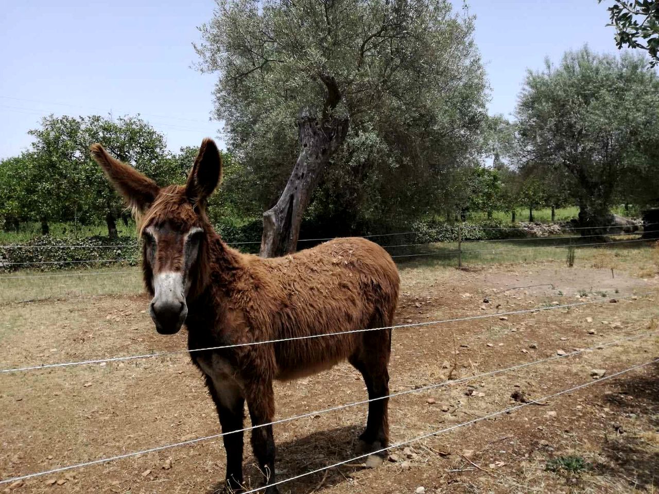 Sustainable Eco-Friendly Villa Close to the Beach Perfect for Family Escapes in Lido di Noto, Sicily