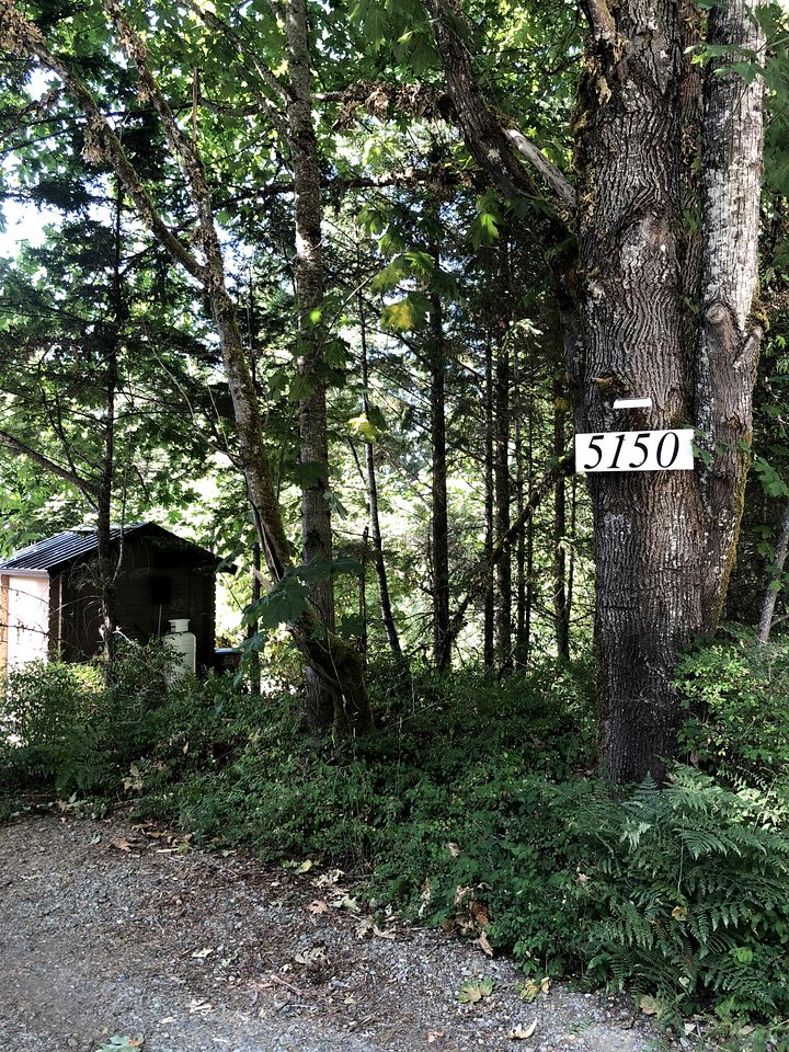 Charming Rustic Cabin Haven near Cowichan River in British Columbia’s Lush Valley