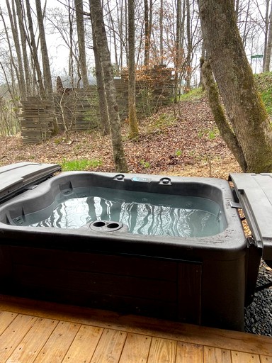 Airstreams (United States of America, Pisgah Forest, North Carolina)