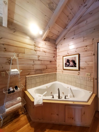 Cabins (United States of America, Galax, Virginia)