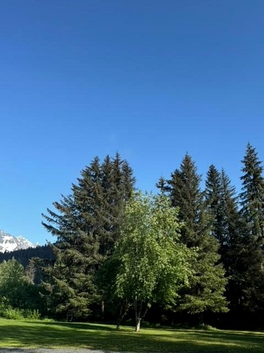 Vacation Rentals (United States of America, Seward, Alaska)