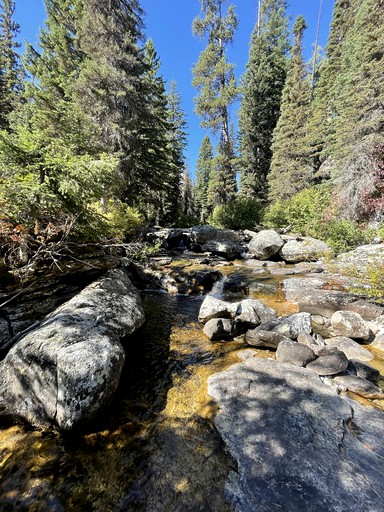 Log Cabins (Darby, Montana, United States of America)