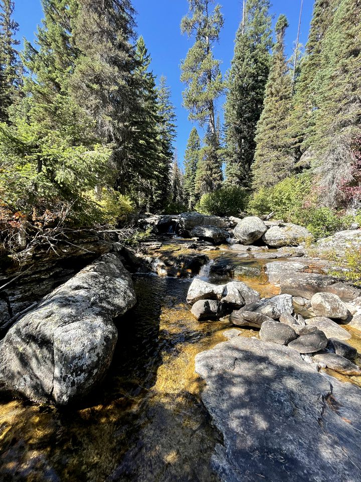 Luxury Cabin for Great Montana Weekend Getaways