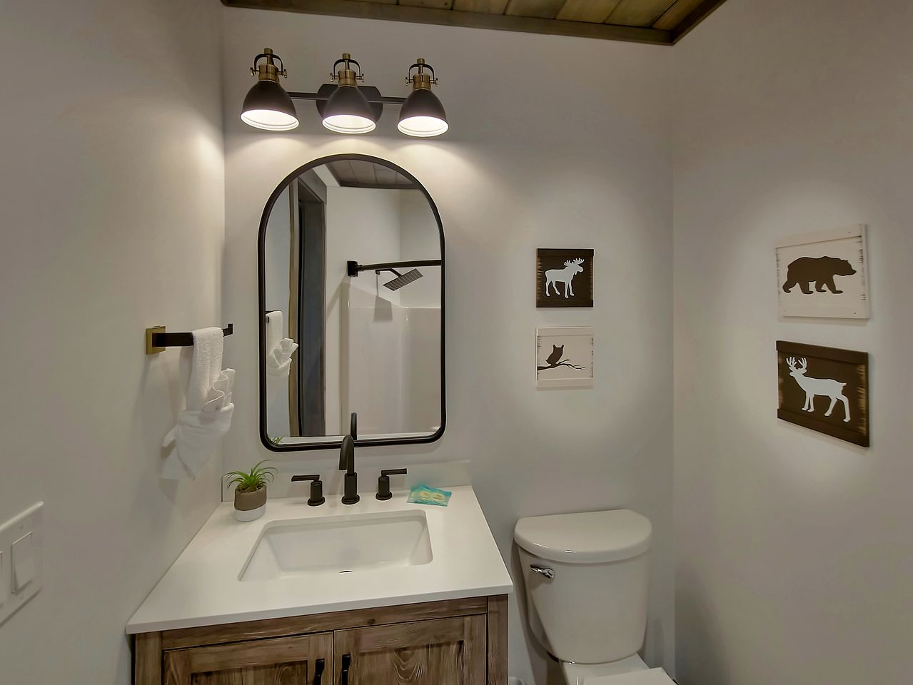 Great Smoky Mountains National Park Luxury Glamping Lodge for Family and Friends