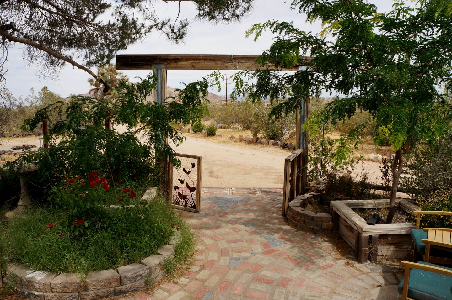 Desert Dreams with Your Furry Friend: Pet-Friendly Rental Under the Stars