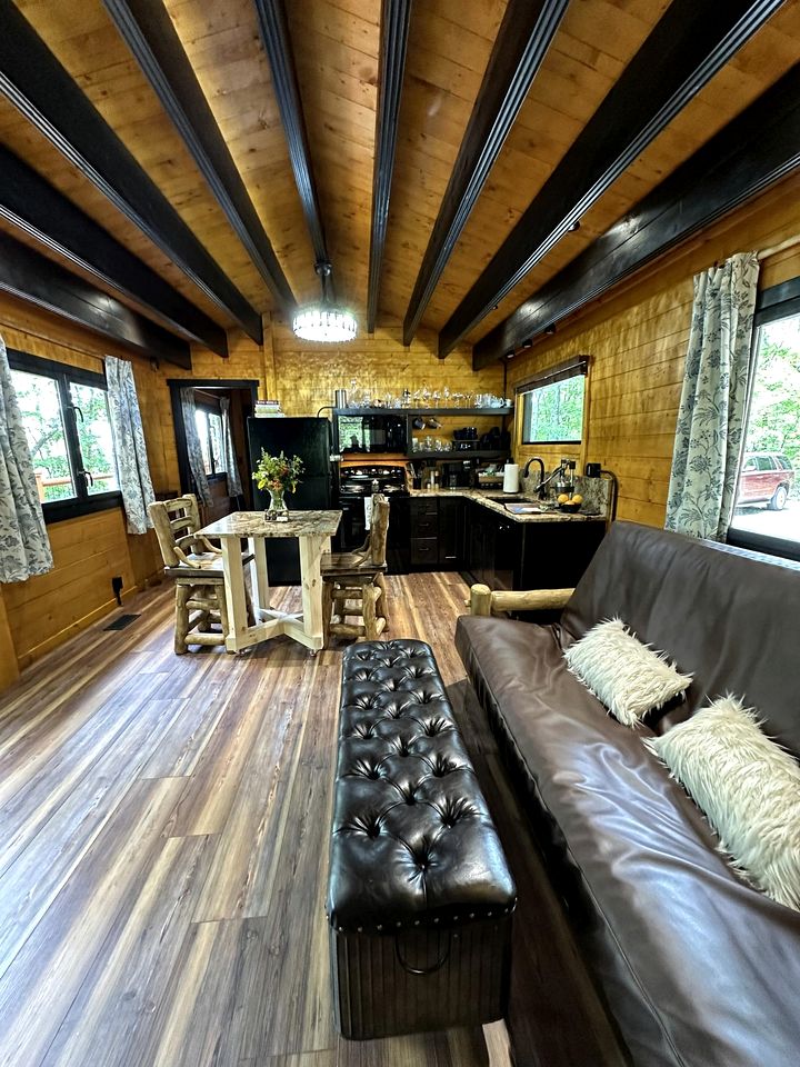 Luxurious Dog-Friendly Cabin with Fireplace, Surrounded by Forest for a Cozy Couples Getaway in the Mountains in North Carolina