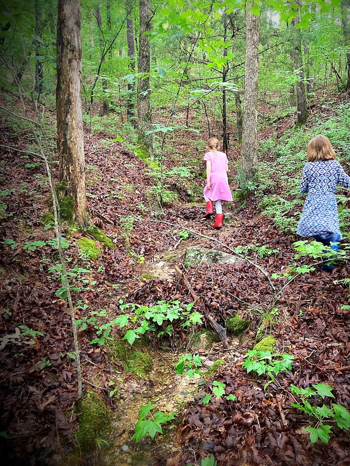 Mount Ida Family Getaway: Pet-Friendly Cabin with Game Room in Arkansas