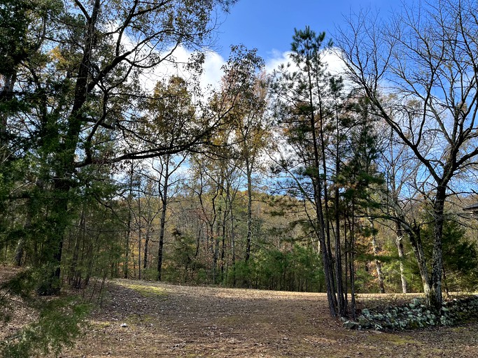 Cabins (United States of America, Mount Ida, Arkansas)