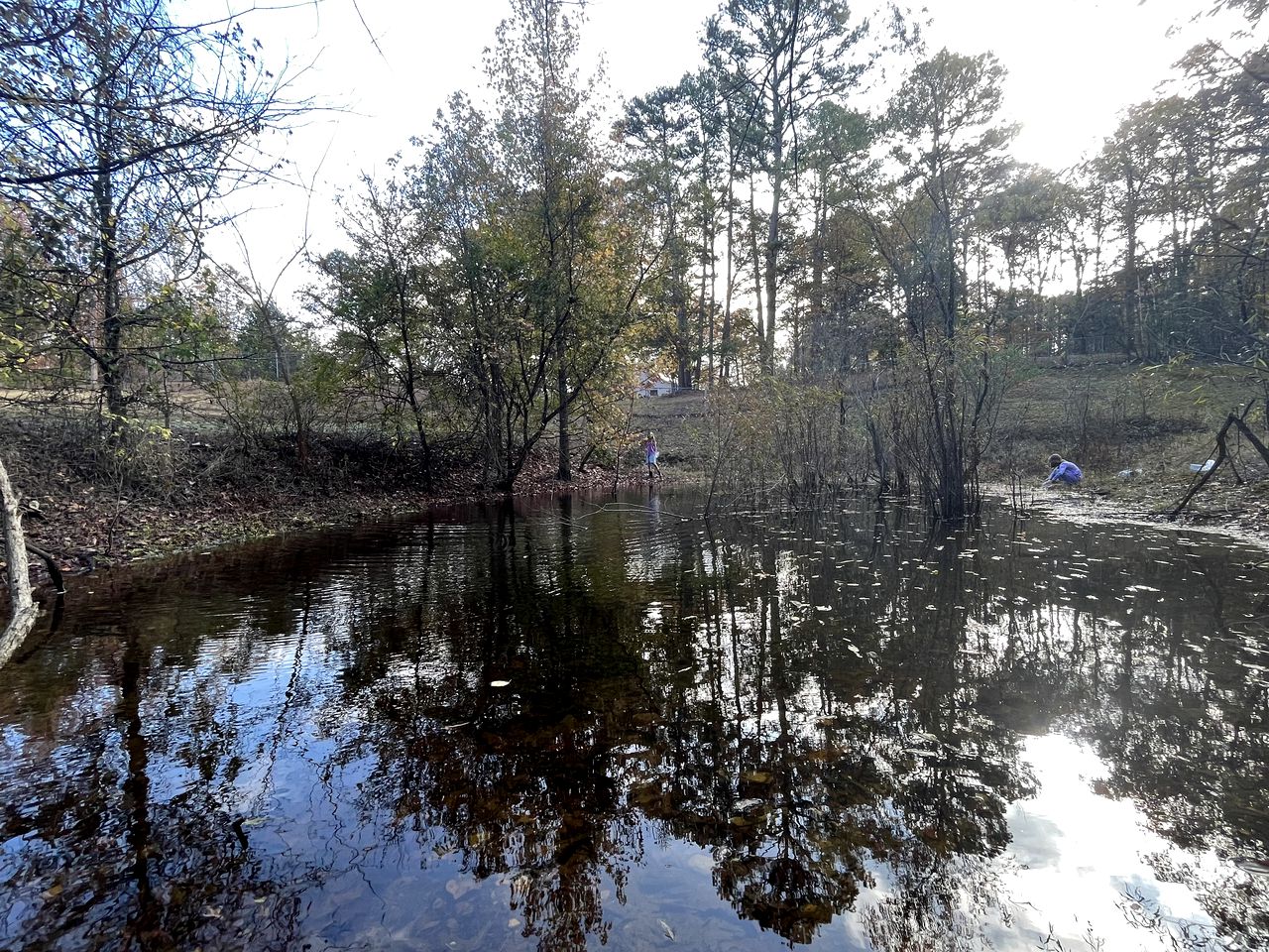 Mount Ida Family Getaway: Pet-Friendly Cabin with Game Room in Arkansas