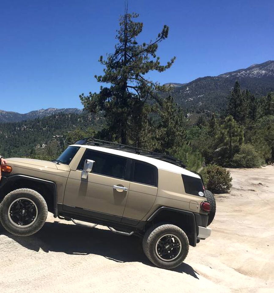 Mountain View Getaway in the Trees of Idyllwild, California