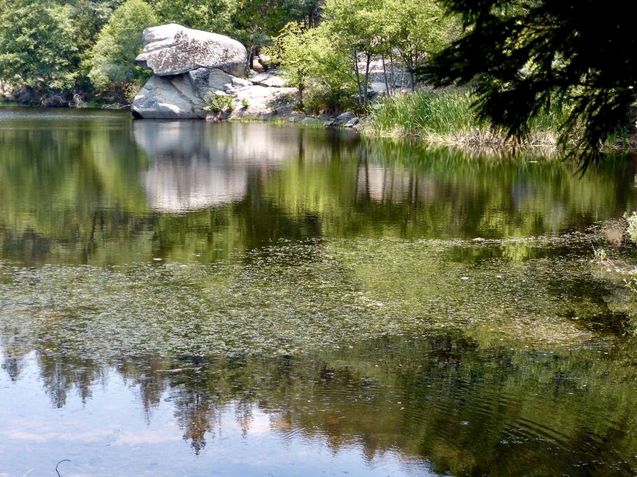 Mountain View Getaway in the Trees of Idyllwild, California