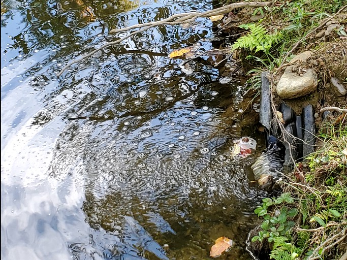 Tentrr Signature Site Sundown, Tented Cabins, Kerhonkson, United