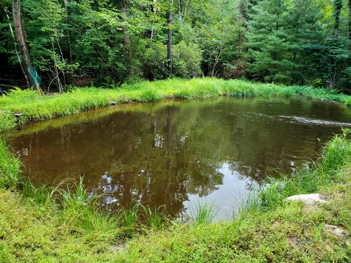 Tentrr Signature Site Sundown, Tented Cabins, Kerhonkson, United