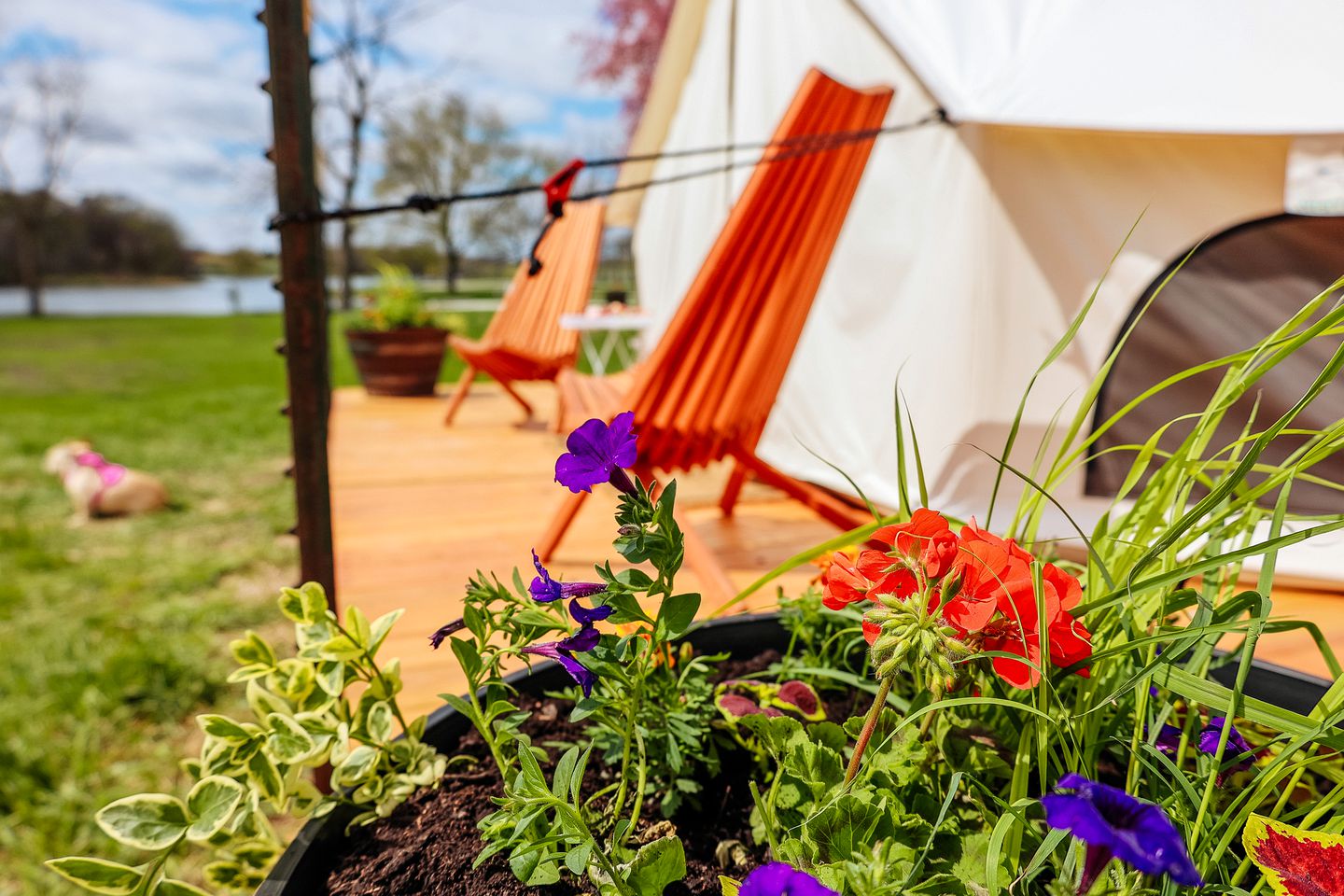 Pet-Friendly Bell Tent for Memorable Glamping Vacations on Lake Cunningham, Omaha, Nebraska