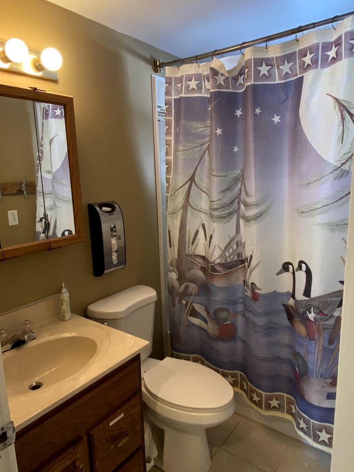 Peaceful and Pet-Friendly Lake Mitchell Cabin For an Exciting Escape by the Heart of the Manistee National Forest, Michigan