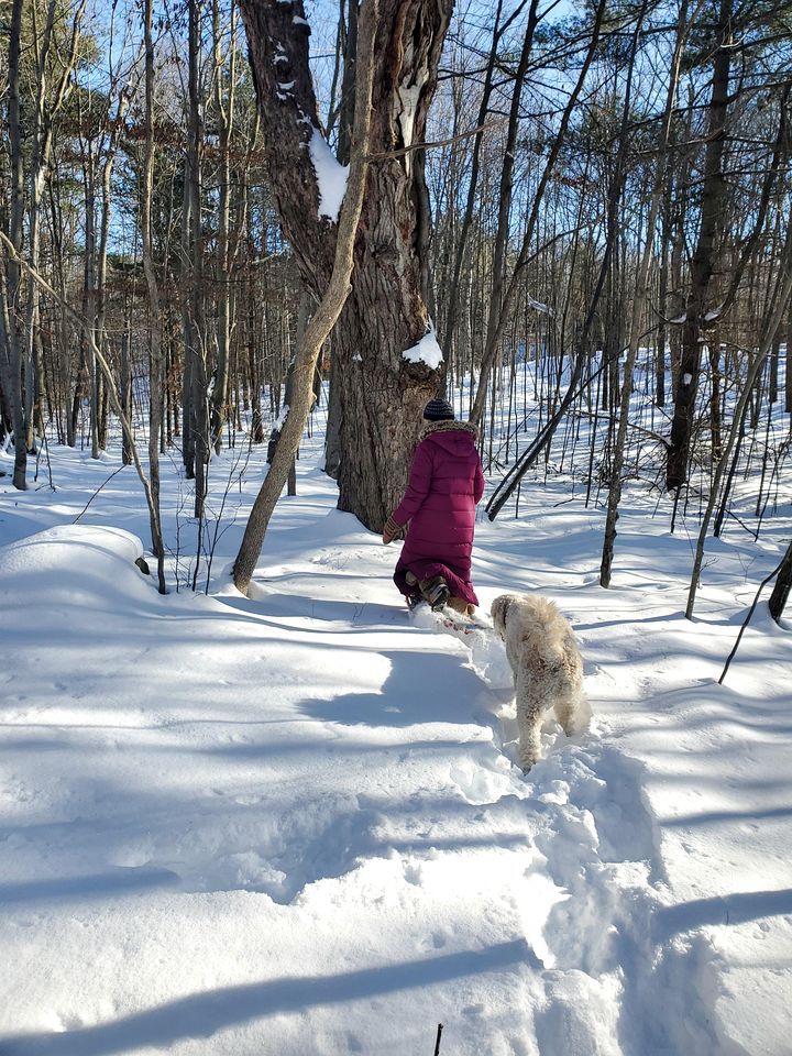 Charming, Off-Grid Cabin in a Quiet Meadow, Perfect for a Glamping Escape to South Frontenac