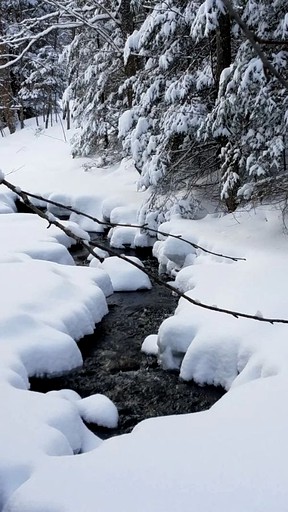 Cabins (United States of America, Lisbon, New Hampshire)