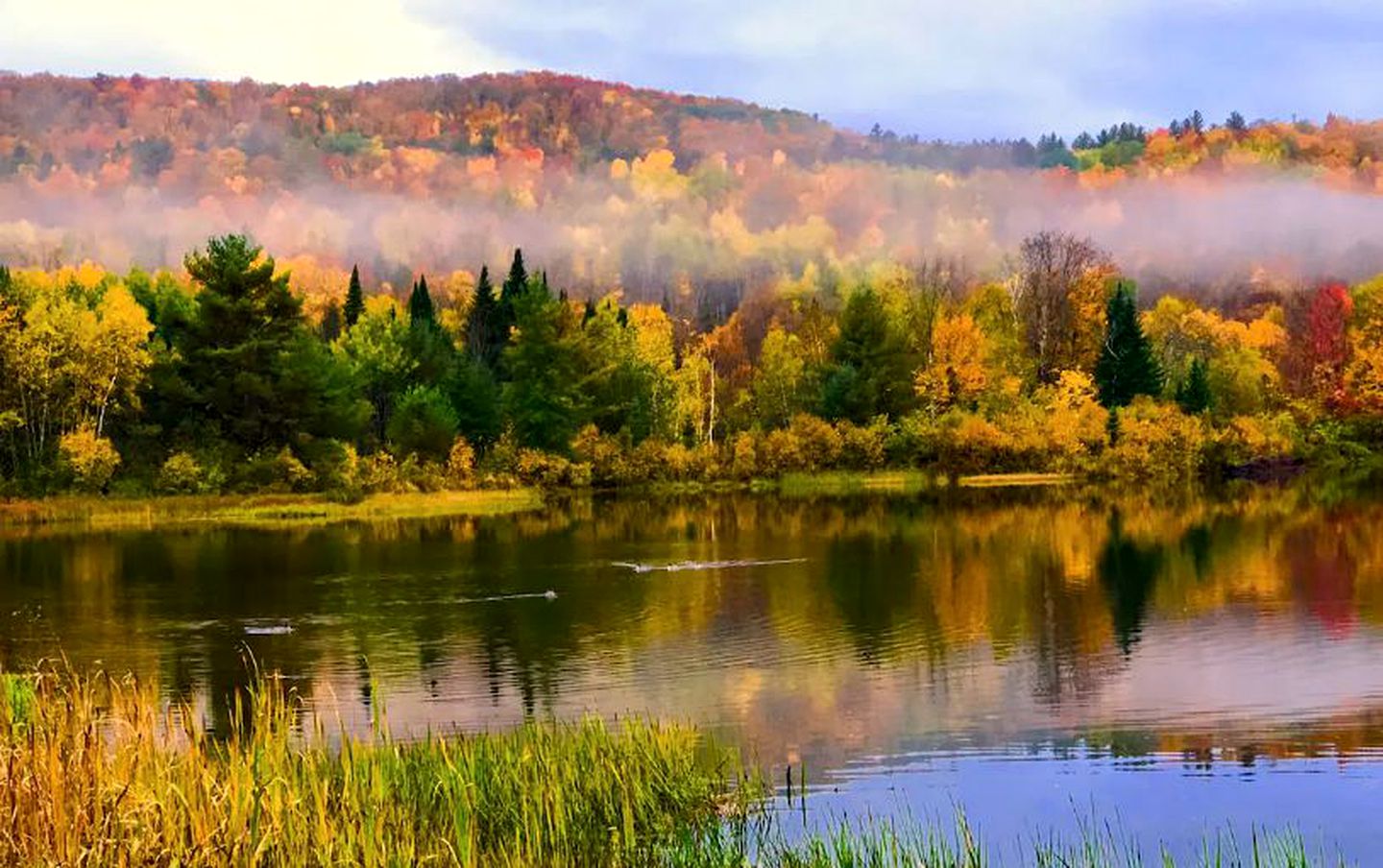 Rustic Studio Cabin Rental in the Heart of the White Mountains in New Hampshire