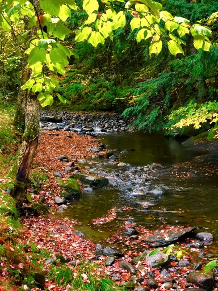 Rustic Studio Cabin Rental in the Heart of the White Mountains in New Hampshire
