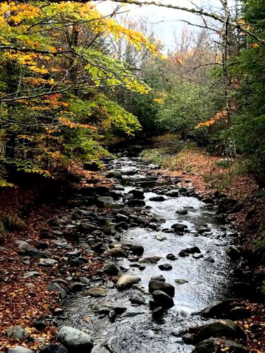 Cabins (United States of America, Lisbon, New Hampshire)