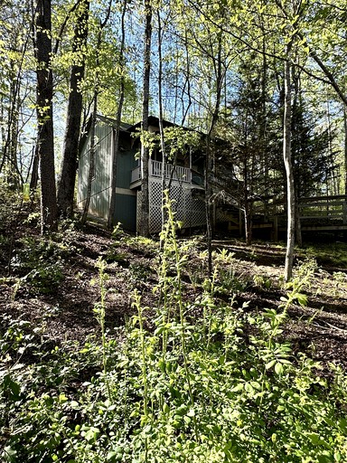 Cottages (United States of America, Blairsville, Georgia)