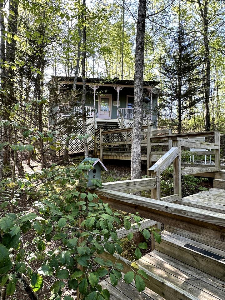 Serene and Pet Friendly Woodland Cottage, Nestled in the Blue Ridge Mountains of Georgia