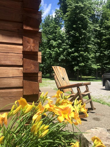 Log Cabins (United States of America, Monterville, West Virginia)