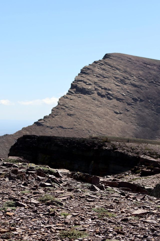 Amazing Forest Dome with Private Deck and Lofted Interior in Alberta