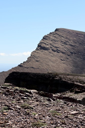 Amazing Forest Dome with Private Deck and Lofted Interior in Alberta | Domes (Pincher Creek MD #9, Alberta, Canada)