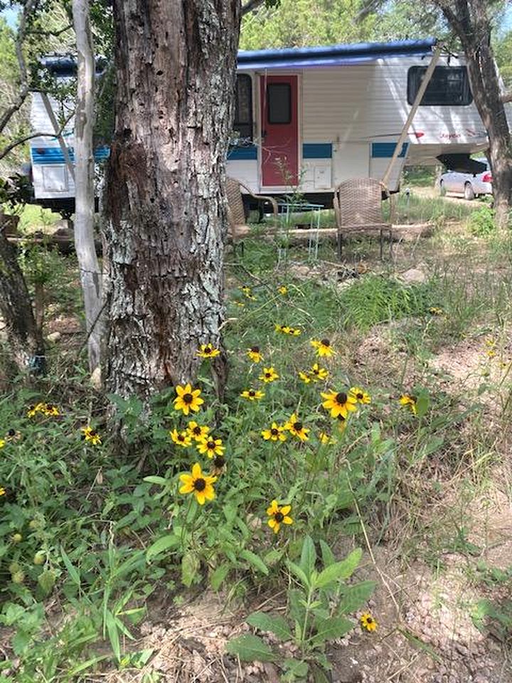 Texas Hill Country Glamping Caravan for a Nature Escape near Hamilton Creek