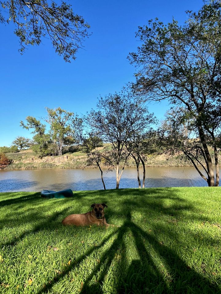 Incredible Safari Tent with Fire Pit in San Saba, Texas