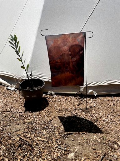 Vacation Rentals (United States of America, --, --)