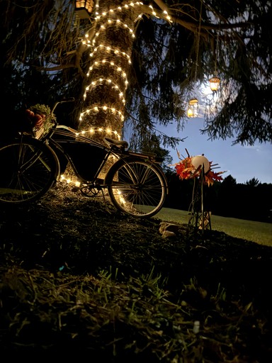 Vacation Rentals (United States of America, --, --)