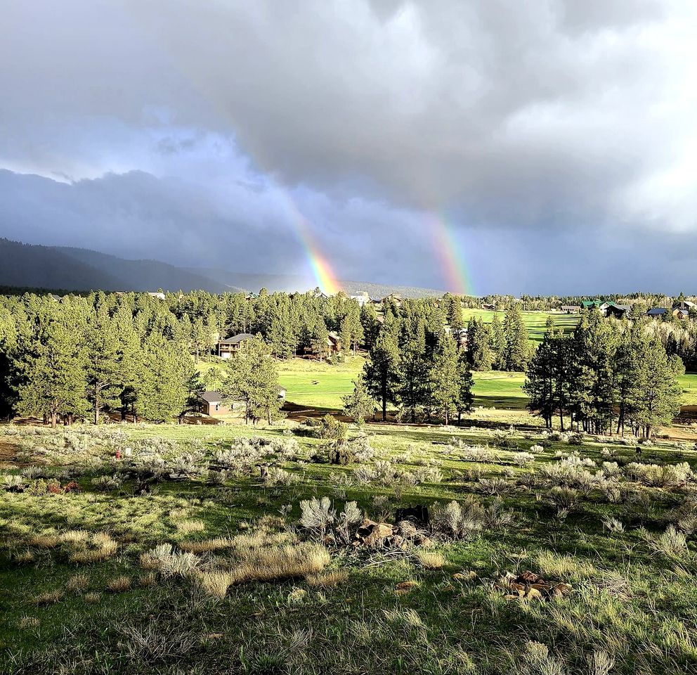 Luxury Tree House Rental Perfect for New Mexico Glamping