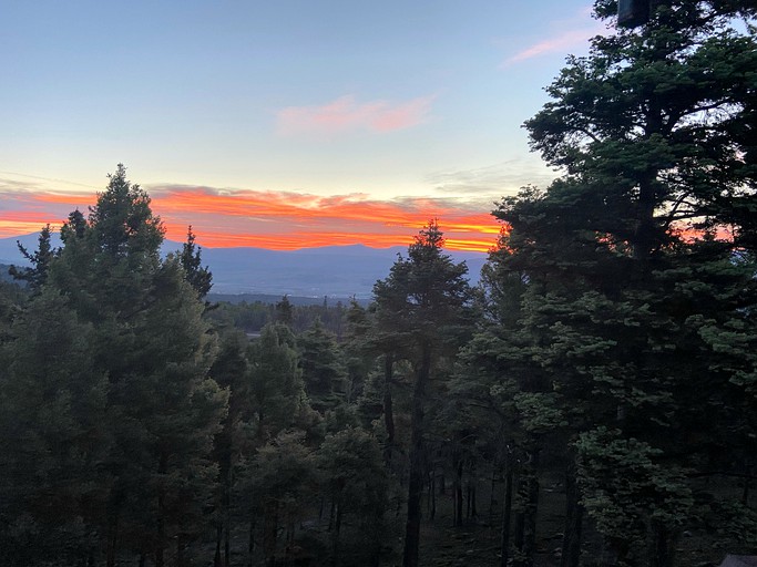 Tree Houses (United States of America, Angel Fire, New Mexico)