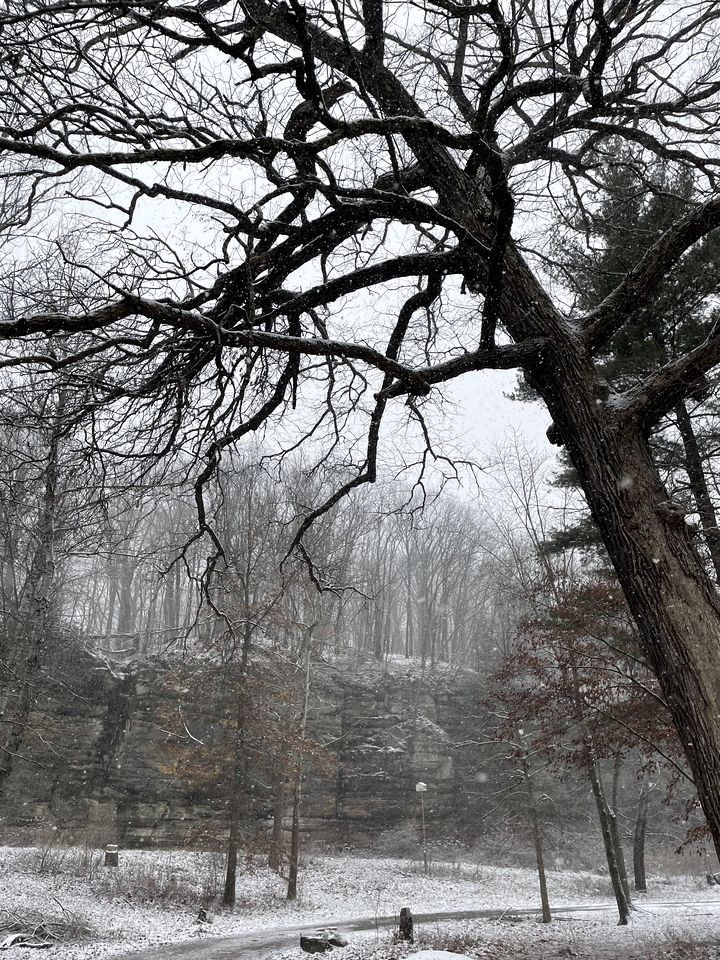 Luxurious Glamping Tree House at Starved Rock, Perfect for a Weekend Escape from Chicago