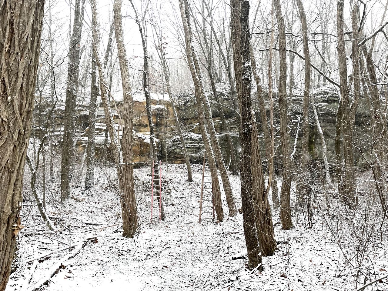 Luxurious Glamping Tree House at Starved Rock, Perfect for a Weekend Escape from Chicago