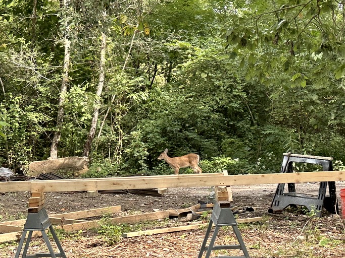 Vacation Rentals (United States of America, Ottawa, Illinois)