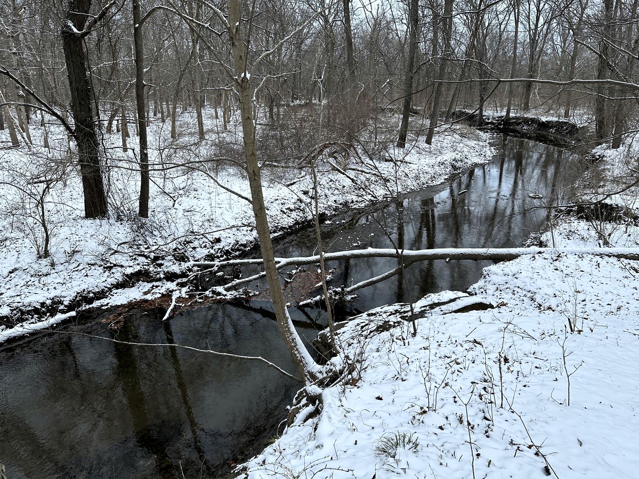 Luxurious Glamping Tree House at Starved Rock, Perfect for a Weekend Escape from Chicago