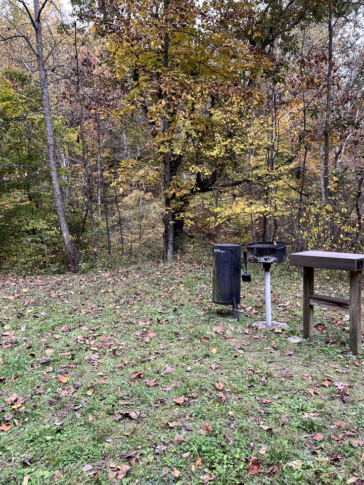 Secluded Off-Grid Cabin with Waterfall & Hiking Trails Near Rome Township, OH