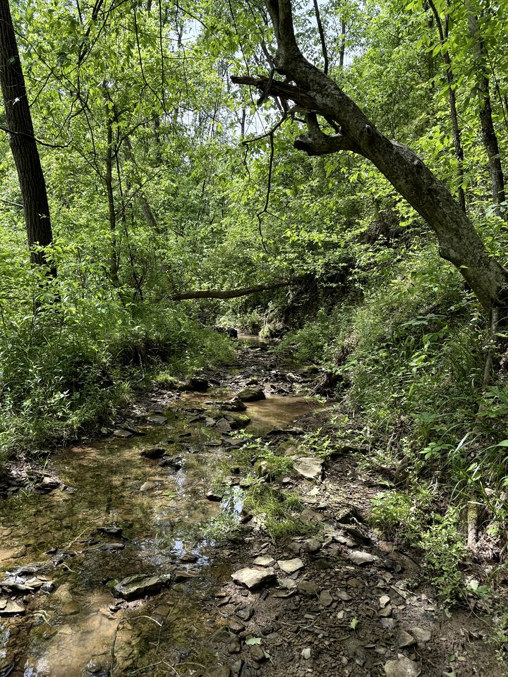 Secluded Off-Grid Cabin with Waterfall & Hiking Trails Near Rome Township, OH